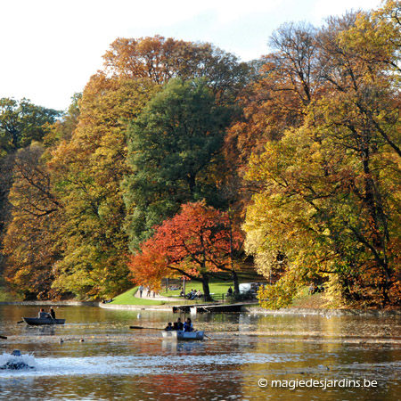 Bois de la Cambre